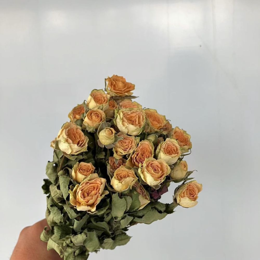 باقة ورود طبيعية مجففة ومحفوظة - مراجعة Resin Art Rose وسعره